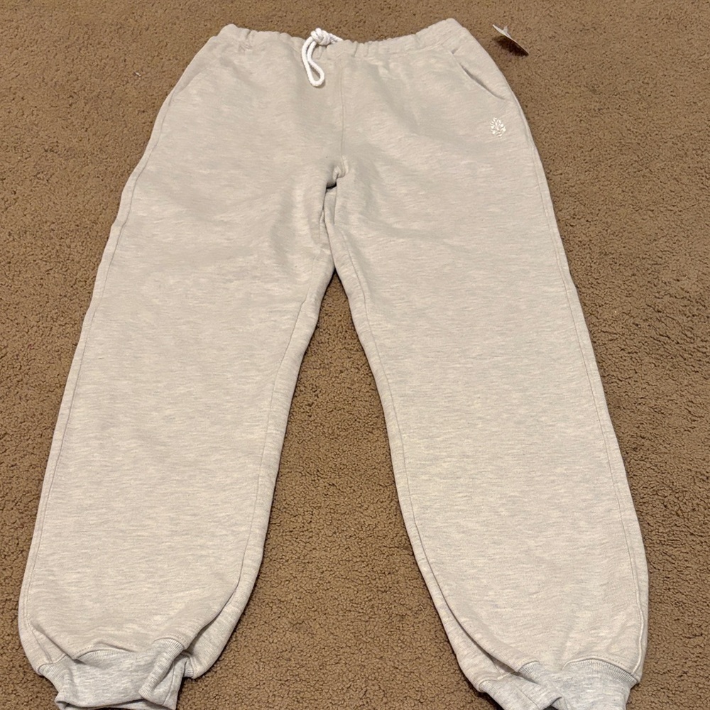 Free people movement sweatpants